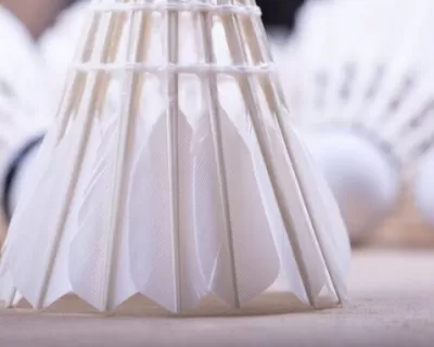 HƯỚNG DẪN CÁCH CHỌN QUẢ CẦU LÔNG ĐÚNG CHUẨN