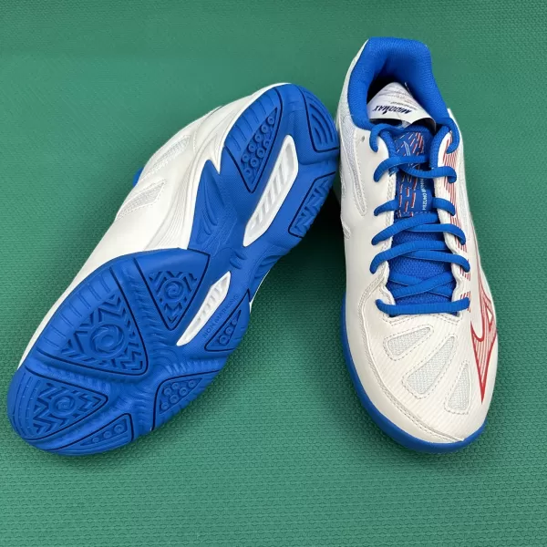 Giày Cầu Lông Mizuno GATE SKY PLUS 3 (71GA234009) Chính Hãng
