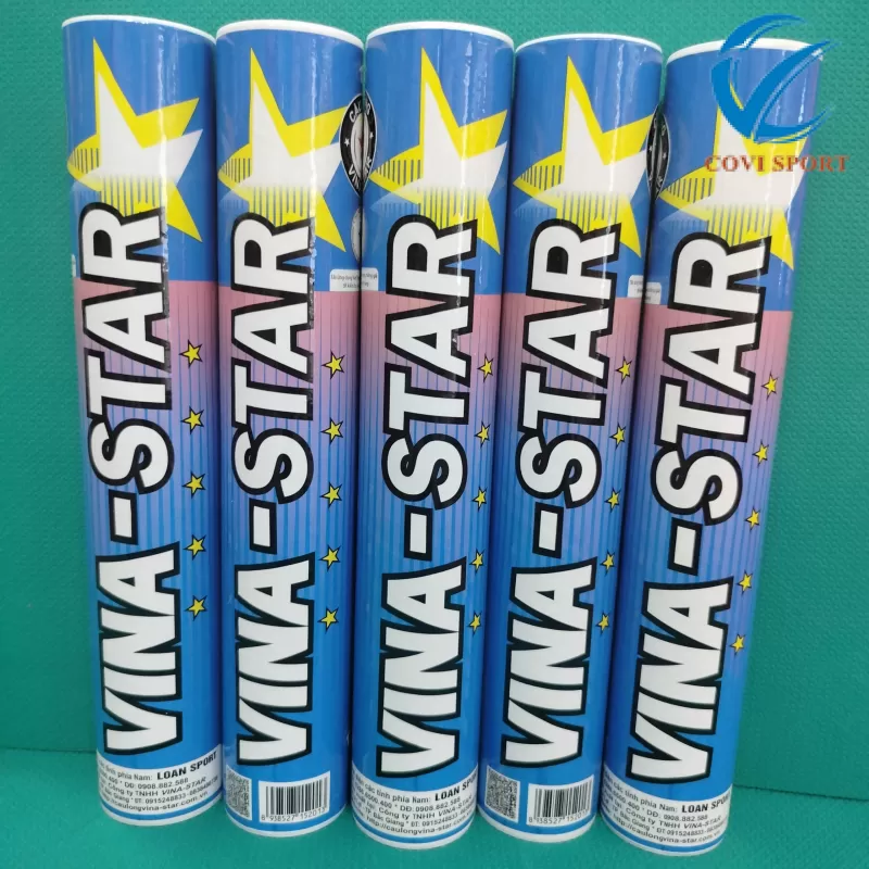 Ống cầu Vina Star